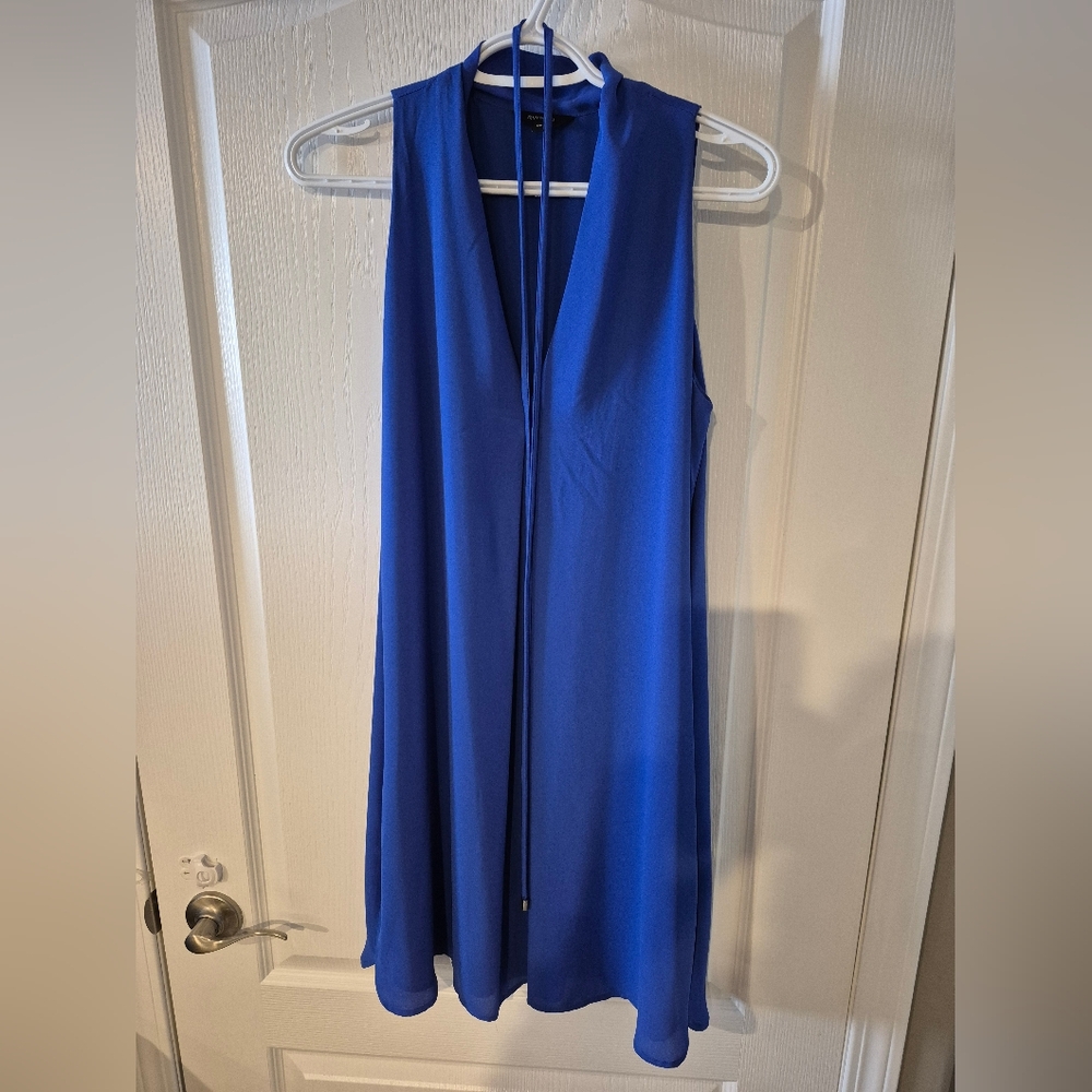Vibrant Blue Dress